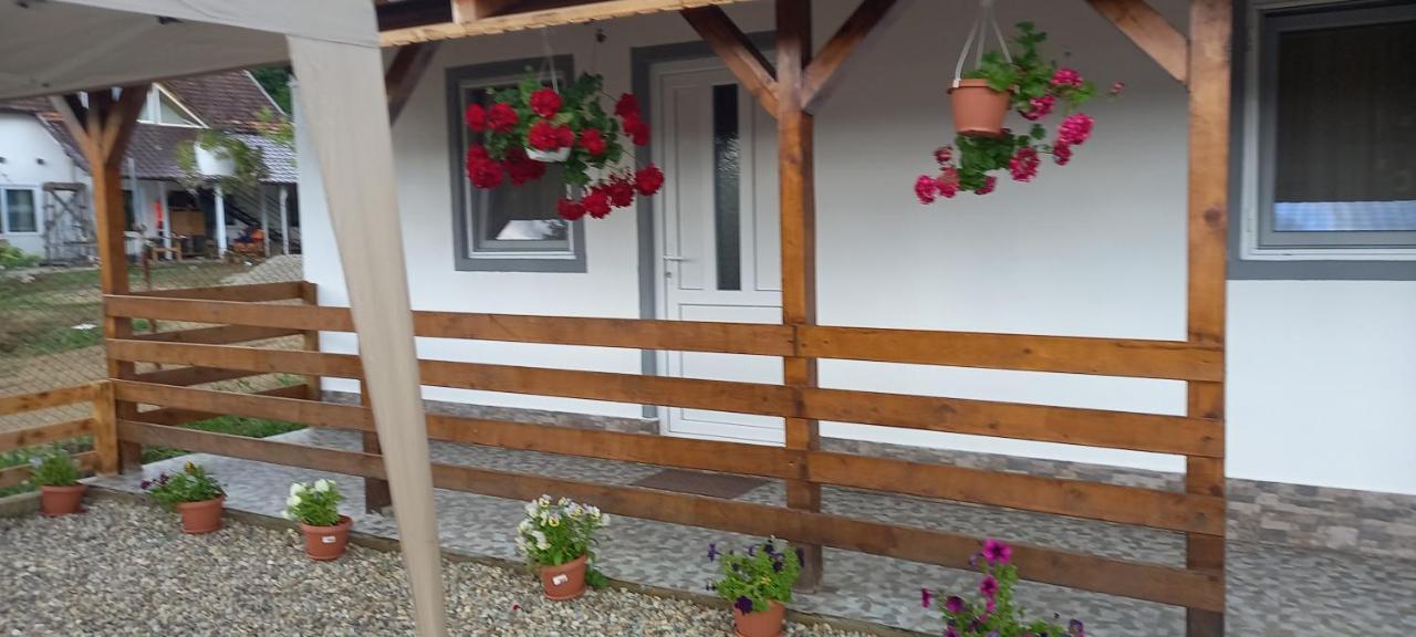 Vila Casa Claudiu Ieşelniţa Exteriér fotografie